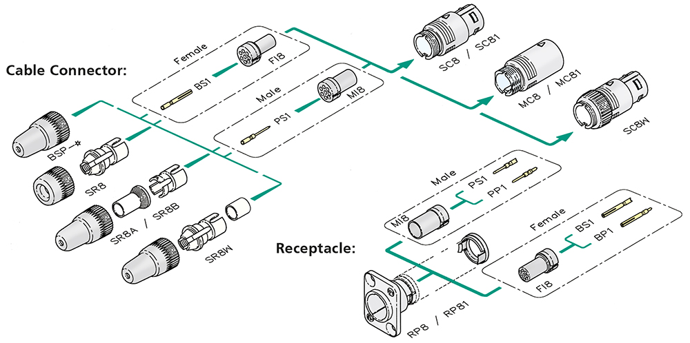 RP8 - Neutrik