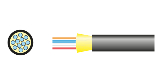opticalCON MTP® 12 ケーブル - Neutrik
